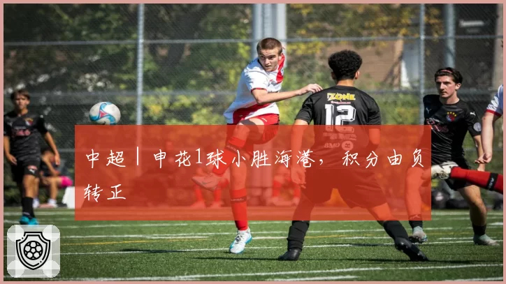 中超｜申花1球小胜海港，积分由负转正