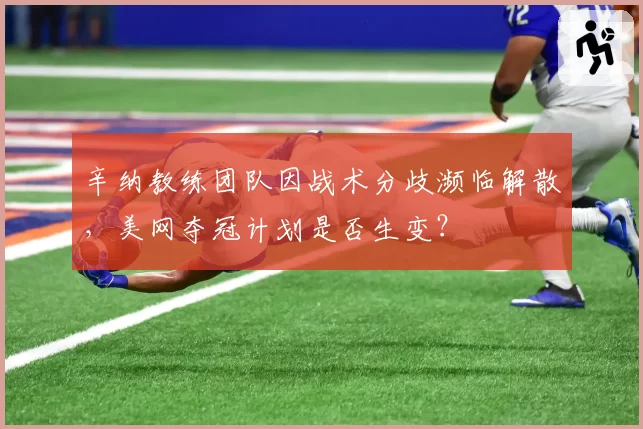 辛纳教练团队因战术分歧濒临解散，美网夺冠计划是否生变？