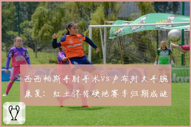 西西帕斯手肘手术vs卢布列夫手腕康复：红土悍将硬地赛季归期成谜