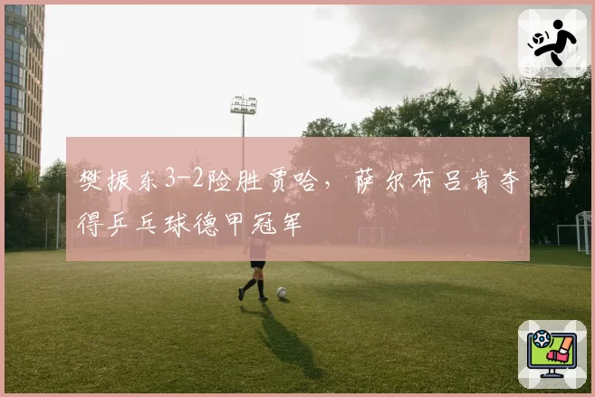 樊振东3-2险胜贾哈,萨尔布吕肯夺得乒乓球德甲冠军