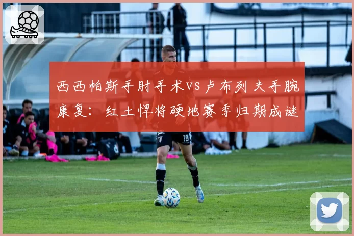 西西帕斯手肘手术vs卢布列夫手腕康复：红土悍将硬地赛季归期成谜